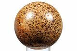 Polished Bauxite (Aluminum Ore) Sphere - Top Quality #308267-1